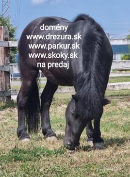 prev